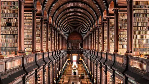 南通奥运金牌得主葛菲获新职务！