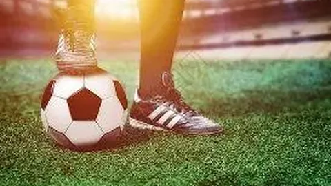 kaiyun·开云（中国）