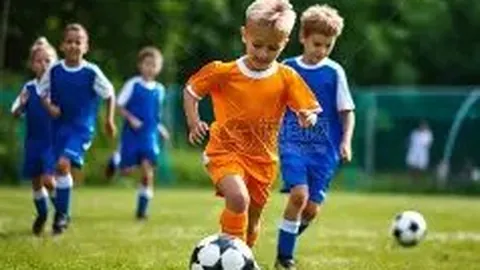 kaiyun·开云（中国）