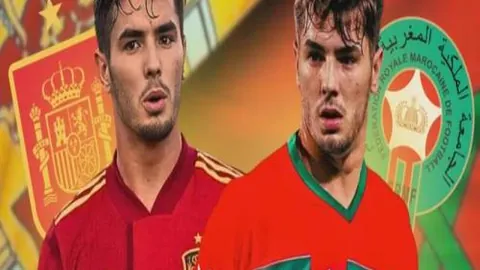 kaiyun·开云（中国）